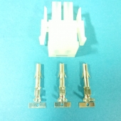 2.1/P6.35 Female